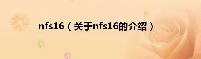 nfs16（关于nfs16的介绍）