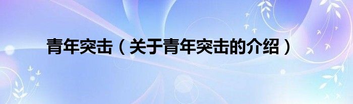 青年突击（关于青年突击的介绍）