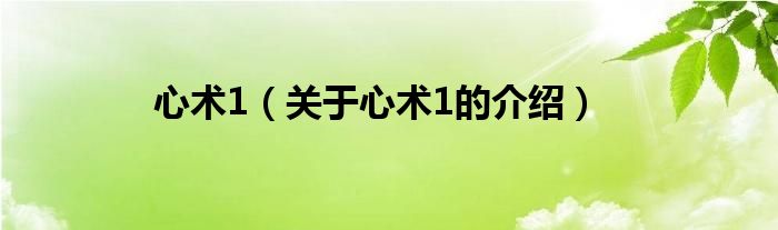 心术1（关于心术1的介绍）