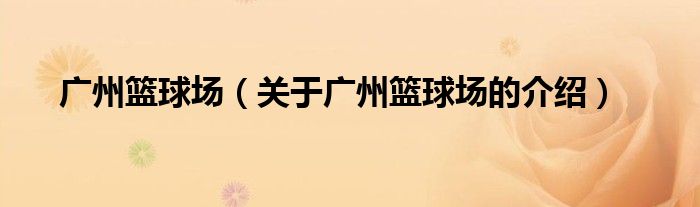 广州篮球场（关于广州篮球场的介绍）