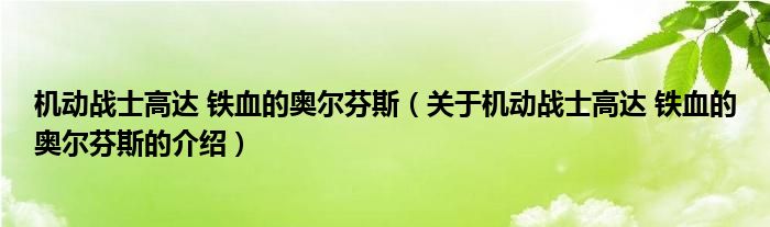 机动战士高达 铁血的奥尔芬斯（关于机动战士高达 铁血的奥尔芬斯的介绍）