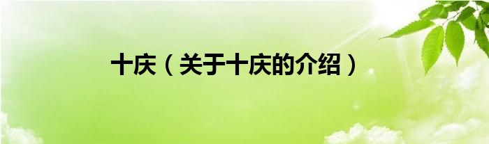 十庆（关于十庆的介绍）