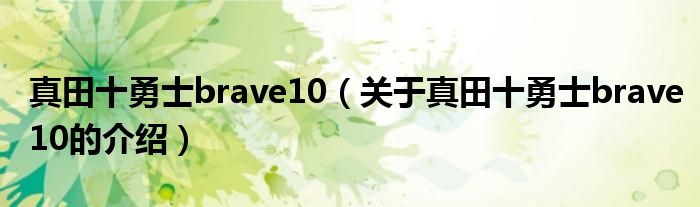 真田十勇士brave10（关于真田十勇士brave10的介绍）