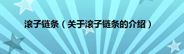 滚子链条（关于滚子链条的介绍）