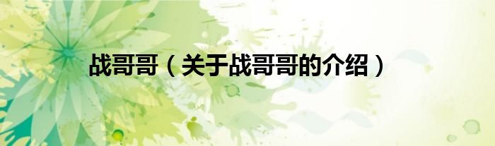 战哥哥（关于战哥哥的介绍）