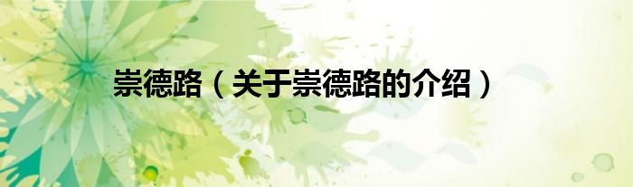 崇德路（关于崇德路的介绍）