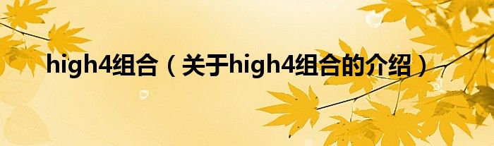 high4组合（关于high4组合的介绍）