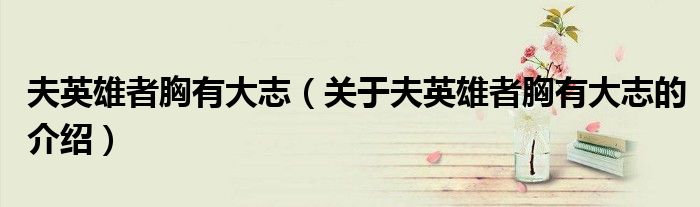 夫英雄者胸有大志（关于夫英雄者胸有大志的介绍）