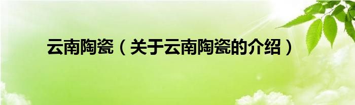 云南陶瓷（关于云南陶瓷的介绍）
