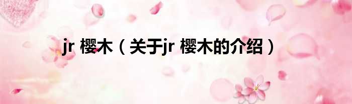 jr 樱木（关于jr 樱木的介绍）