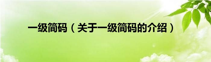 一级简码（关于一级简码的介绍）