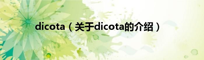 dicota（关于dicota的介绍）