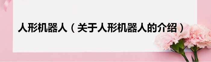 人形机器人（关于人形机器人的介绍）
