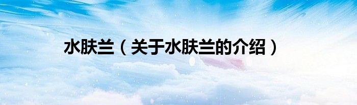水肤兰（关于水肤兰的介绍）