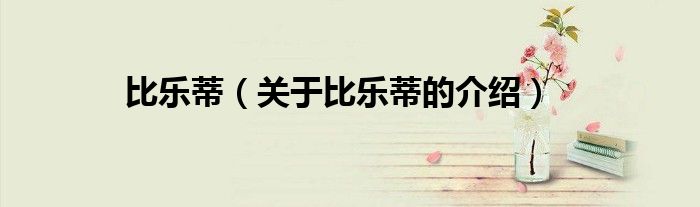 比乐蒂（关于比乐蒂的介绍）