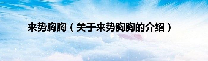 来势胸胸（关于来势胸胸的介绍）