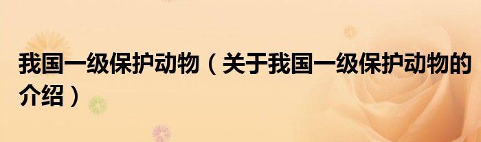 我国一级保护动物（关于我国一级保护动物的介绍）