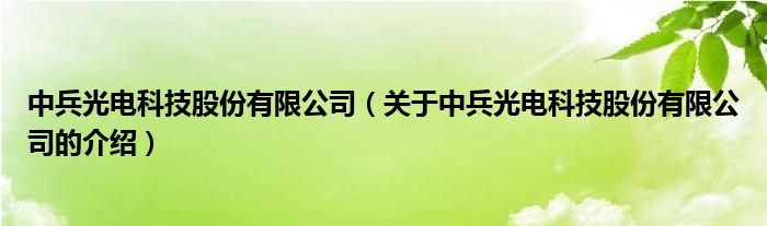 中兵光电科技股份有限公司（关于中兵光电科技股份有限公司的介绍）