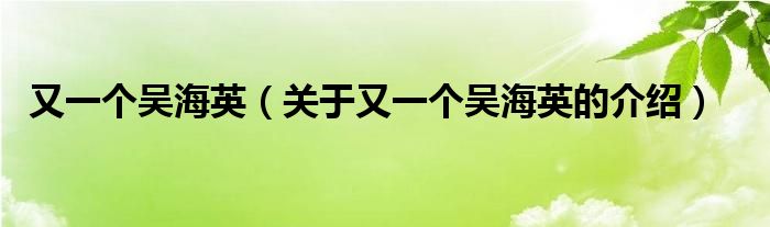又一个吴海英（关于又一个吴海英的介绍）