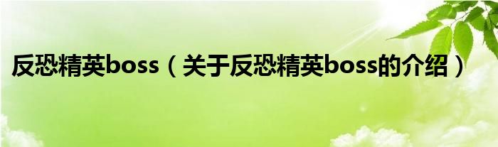反恐精英boss（关于反恐精英boss的介绍）