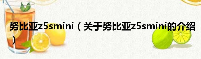 努比亚z5smini（关于努比亚z5smini的介绍）