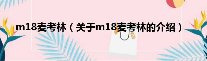 m18麦考林（关于m18麦考林的介绍）