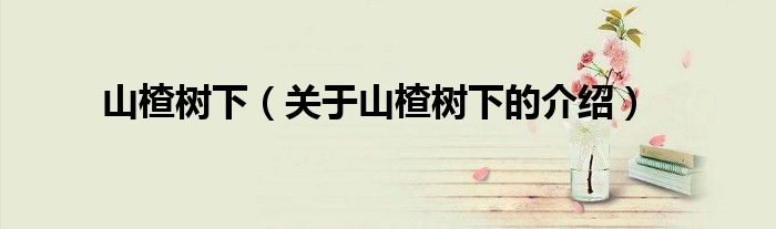 山楂树下（关于山楂树下的介绍）