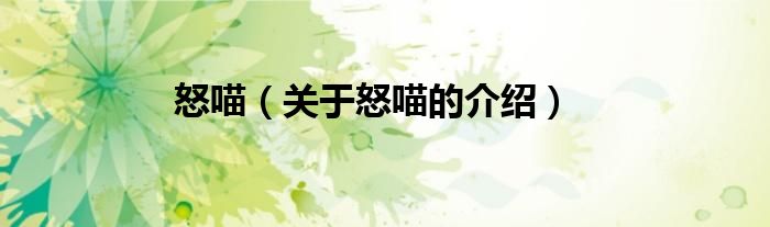 怒喵（关于怒喵的介绍）