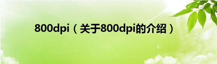 800dpi（关于800dpi的介绍）