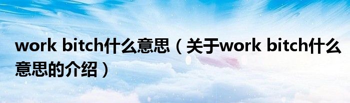 work bitch什么意思（关于work bitch什么意思的介绍）