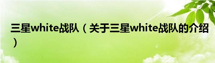 三星white战队（关于三星white战队的介绍）