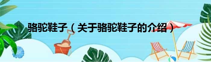 骆驼鞋子（关于骆驼鞋子的介绍）