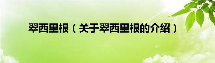 翠西里根（关于翠西里根的介绍）