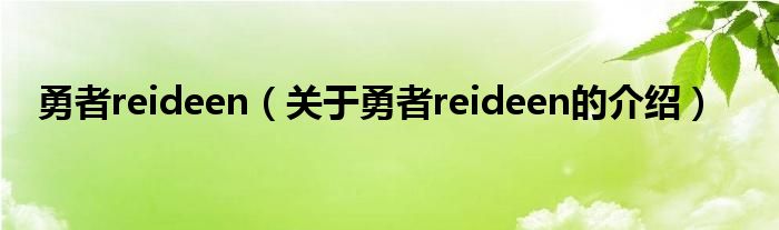 勇者reideen（关于勇者reideen的介绍）