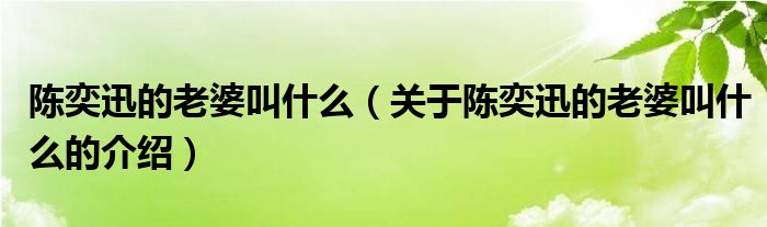 陈奕迅的老婆叫什么（关于陈奕迅的老婆叫什么的介绍）