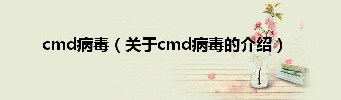 cmd病毒（关于cmd病毒的介绍）