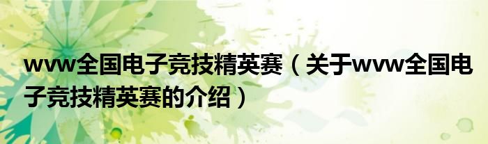 wvw全国电子竞技精英赛（关于wvw全国电子竞技精英赛的介绍）