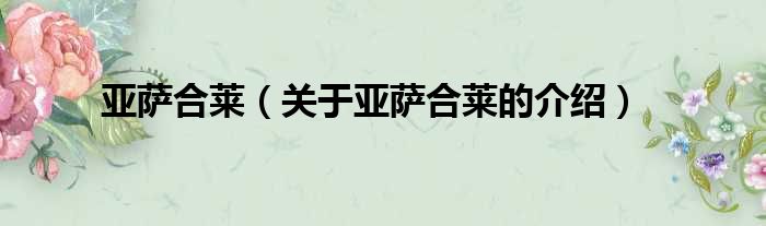亚萨合莱（关于亚萨合莱的介绍）