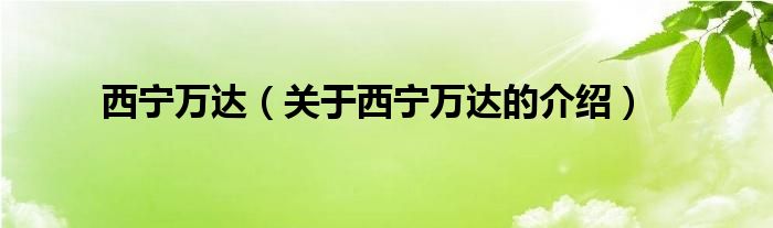 西宁万达（关于西宁万达的介绍）