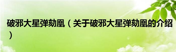 破邪大星弹劾凰（关于破邪大星弹劾凰的介绍）