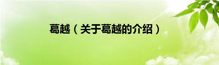 葛越（关于葛越的介绍）