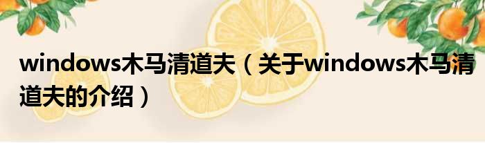 windows木马清道夫（关于windows木马清道夫的介绍）