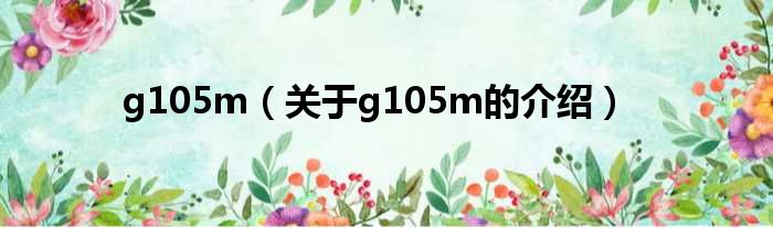 g105m（关于g105m的介绍）