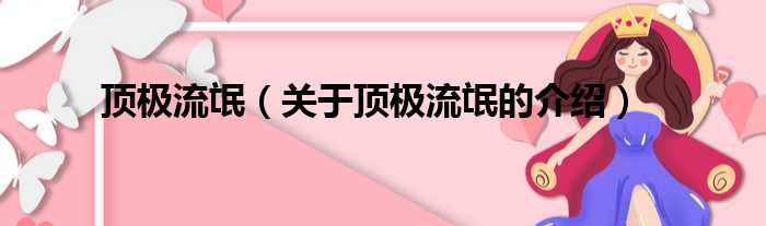 顶极流氓（关于顶极流氓的介绍）