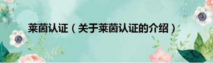 莱茵认证（关于莱茵认证的介绍）