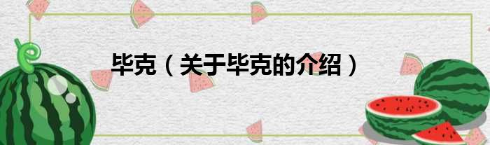 毕克（关于毕克的介绍）