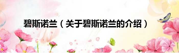碧斯诺兰（关于碧斯诺兰的介绍）