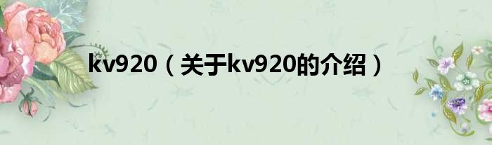 kv920（关于kv920的介绍）