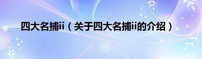 四大名捕ii（关于四大名捕ii的介绍）