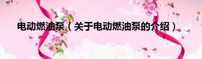 电动燃油泵（关于电动燃油泵的介绍）